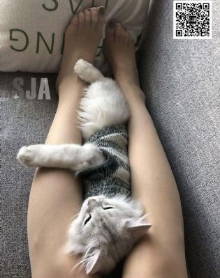 高h视频_BD韩语免费电视剧